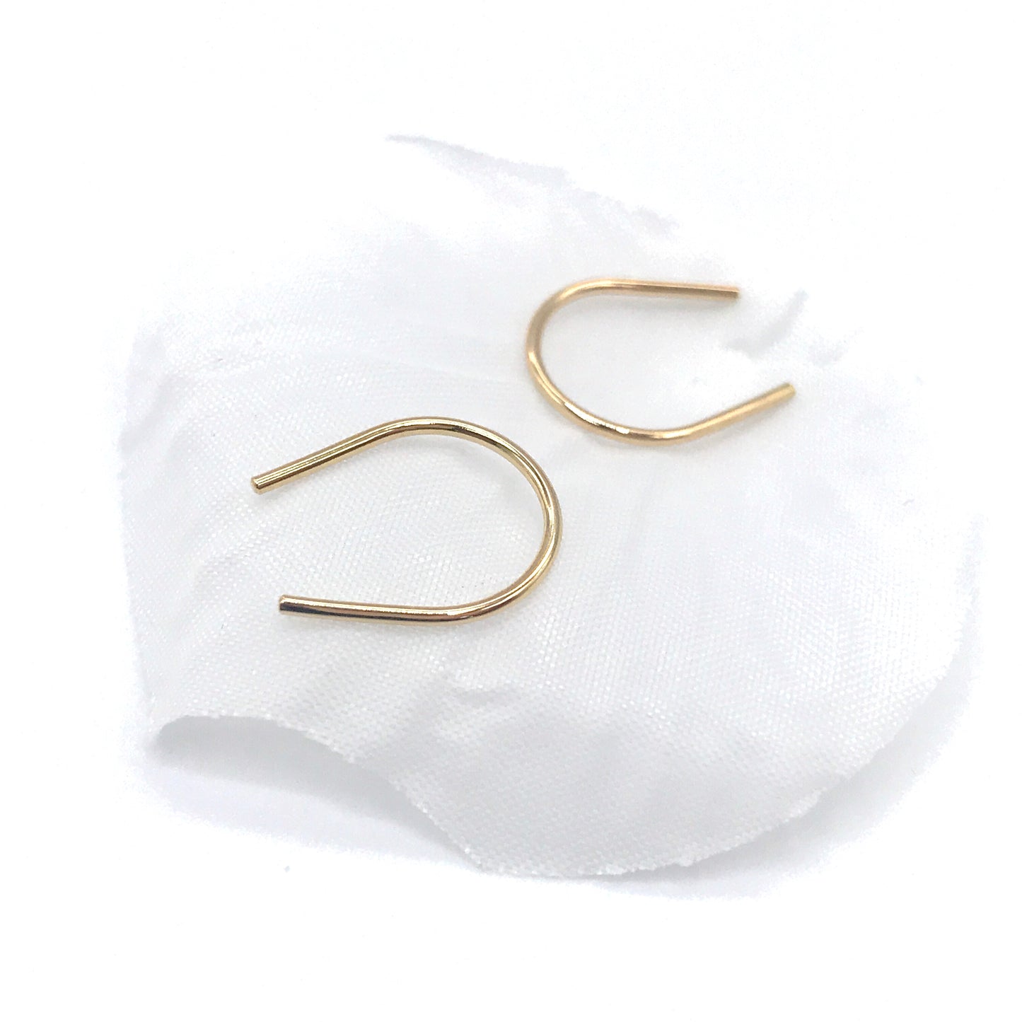 Horseshoe Earrings