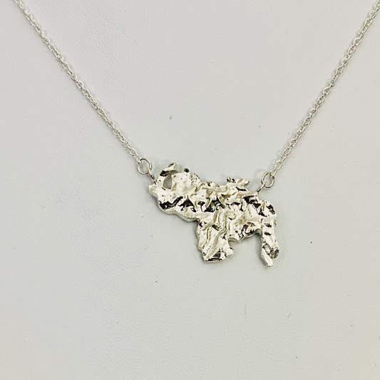 Luisana Jewelry Venezuela Necklace Roots in Silver with an Outline of Venezuela