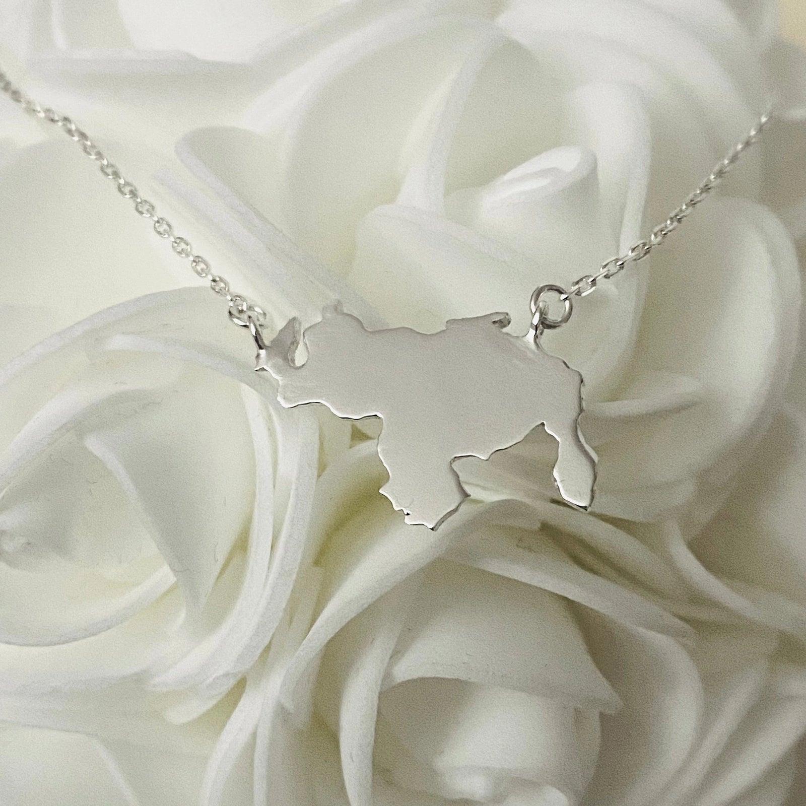 Venezuela Necklace Solid in Silver with Intricate Map Design on a Delicate Chain