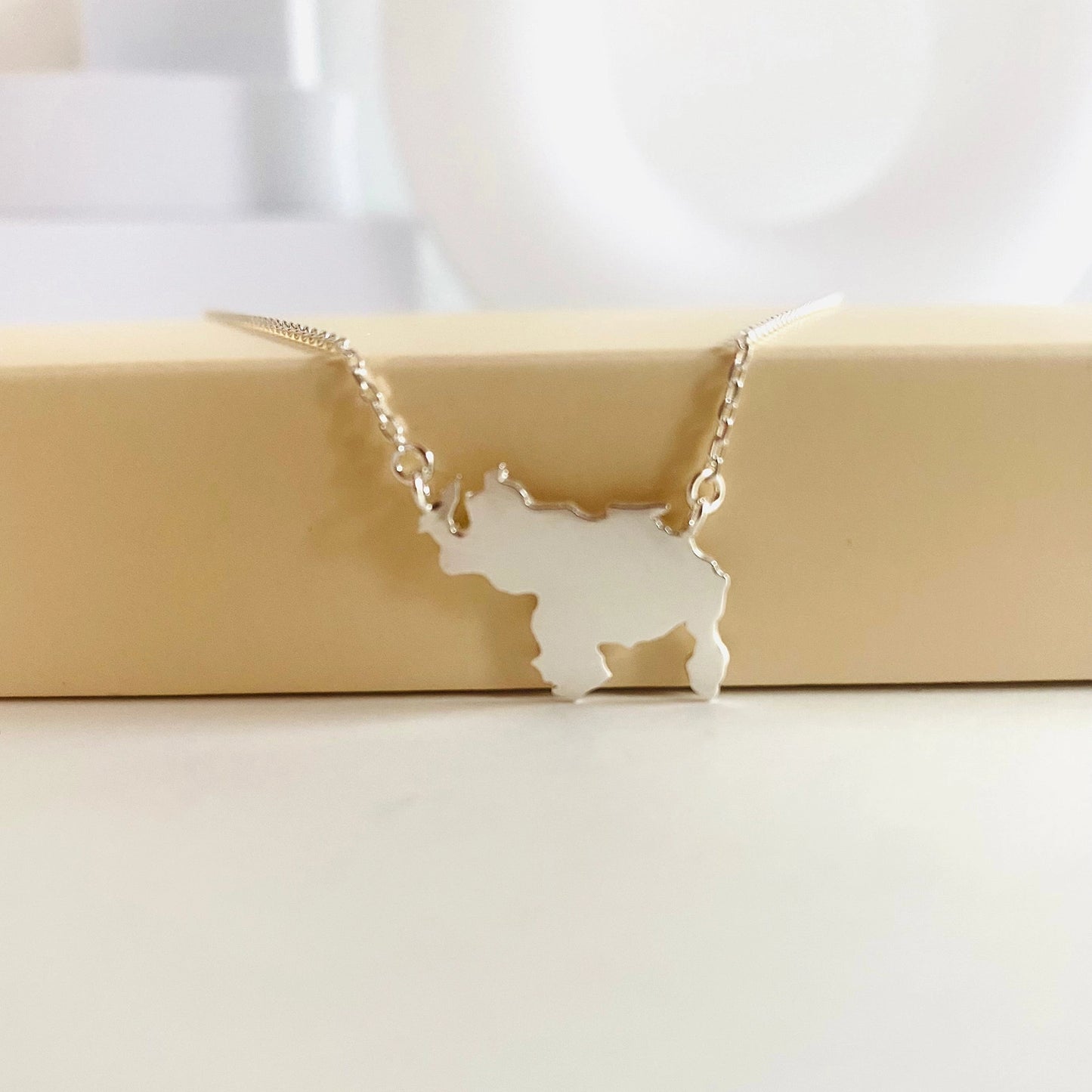 Venezuela Necklace Solid in Silver featuring a state-shaped pendant on a delicate chain